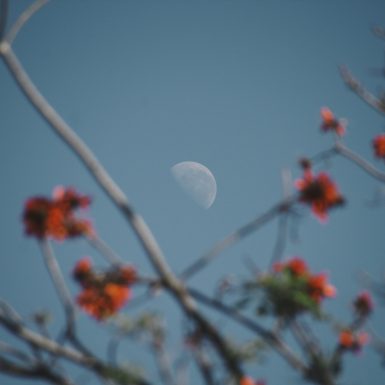 quinton-coetzee-tvnp4r6xzvY-unsplash